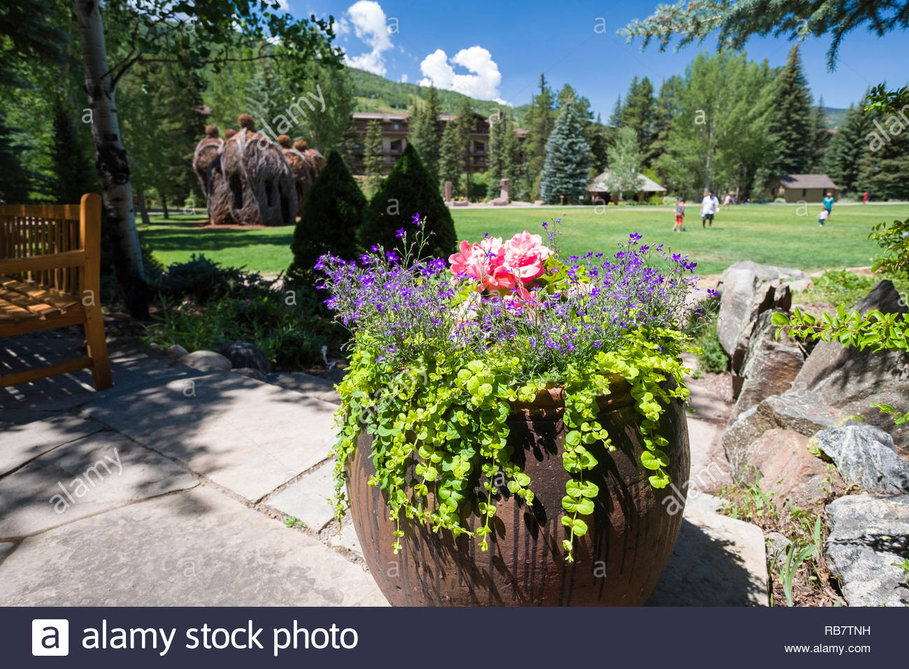 Colorful Plants And Flowers In The Betty Ford Alpine Gardens Vail