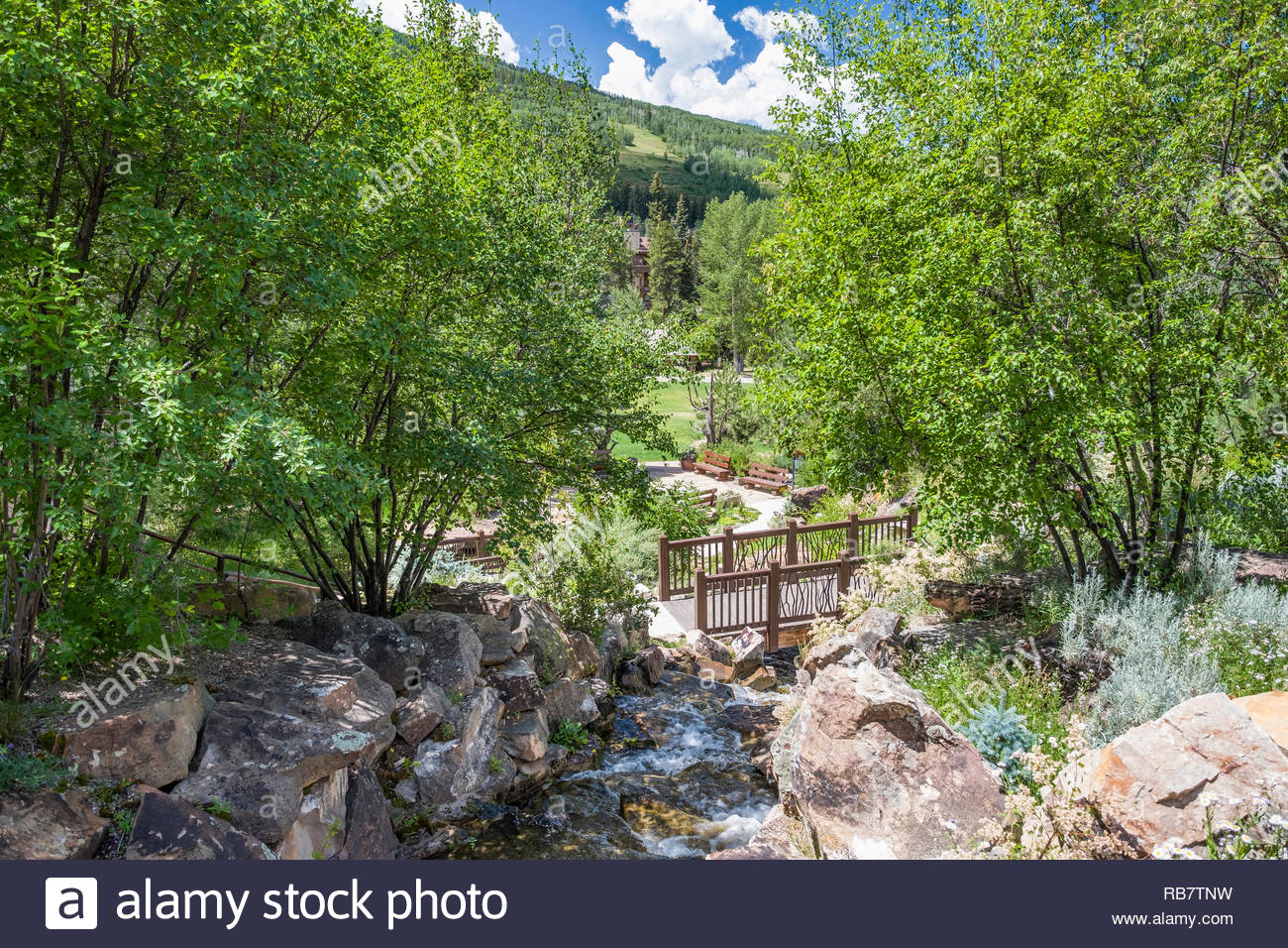 Artificial Creek Flowing Through The Alpine Rock Garden In The