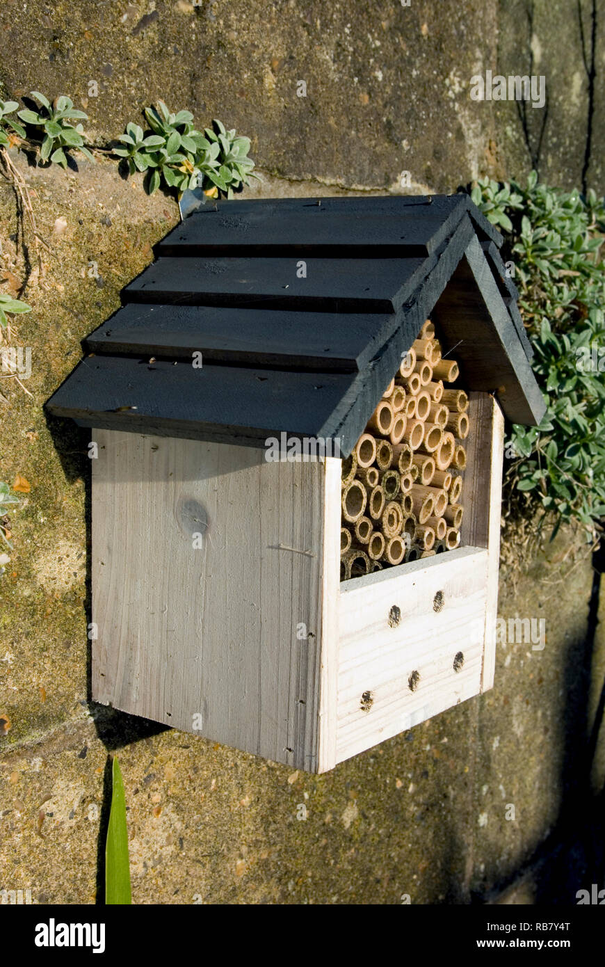 Bee Hotel Stock Photo