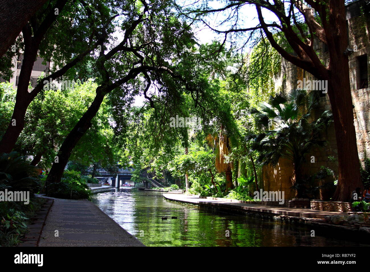 View of the historic San Antonio River Walk in downtown San Antonio