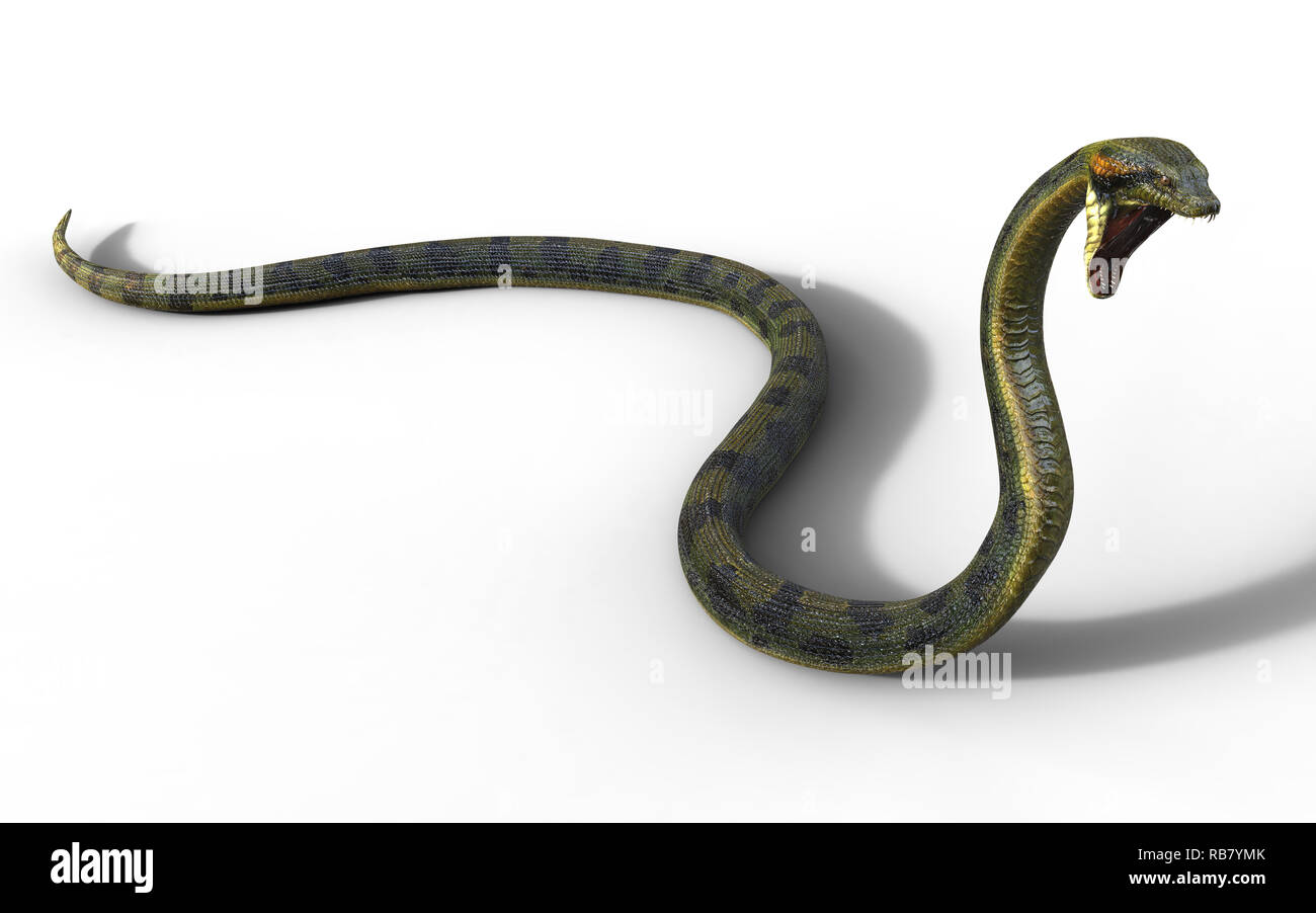 Anaconda 3d hi-res stock photography and images - Alamy