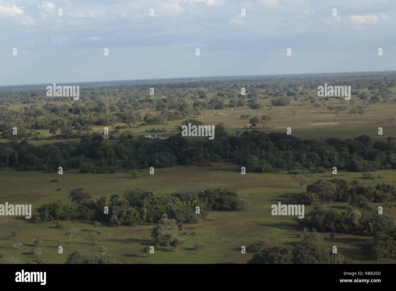 Amazing Pantanal seeing from airplane. Stock Photo
