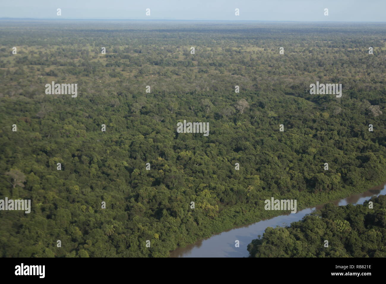 Amazing Pantanal seeing from airplane. Stock Photo