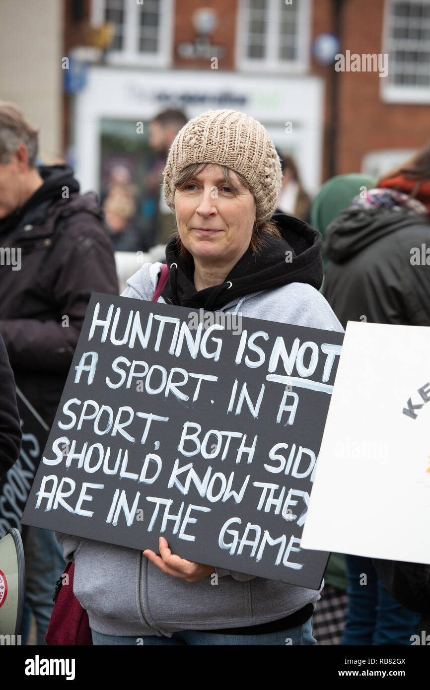 Anti Hunt protestors seen at the annual Boxing Day Hunt meet of Atherstone Hunt held in Market Bosworth Stock Photo