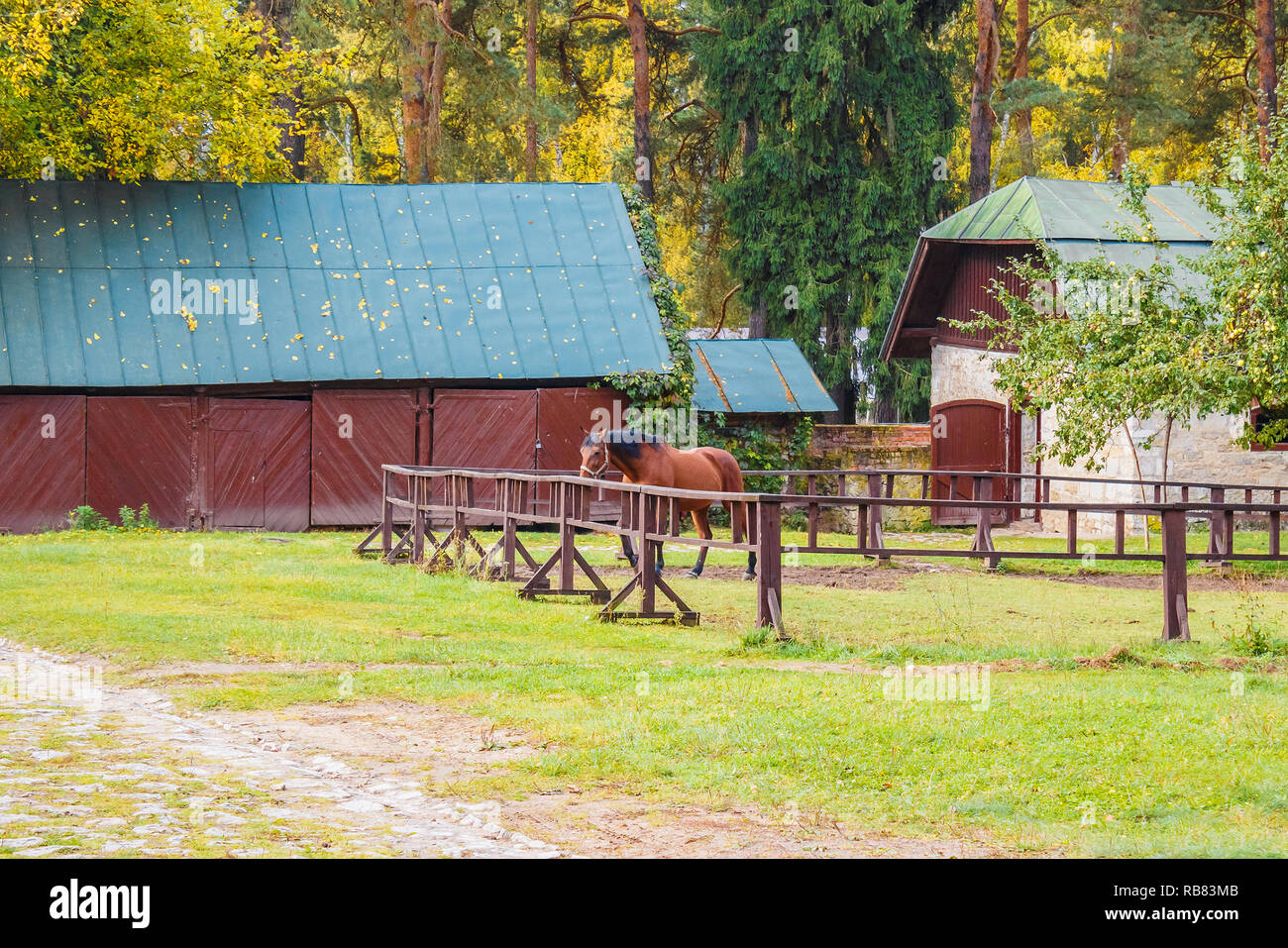 Stall Inages Horse in the stall Stock Photo - Alamy