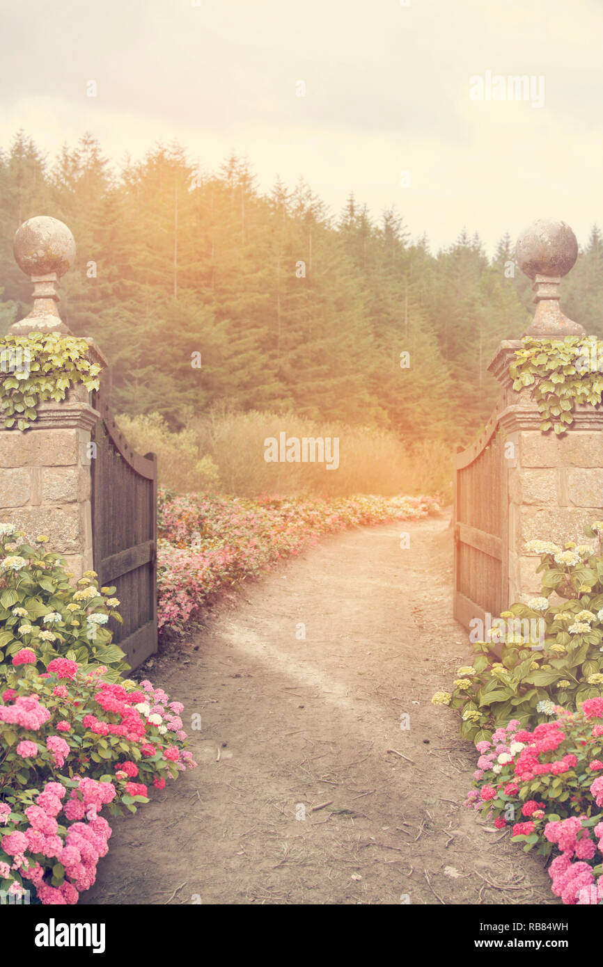 Fantasy garden with gates and flowers background Stock Photo