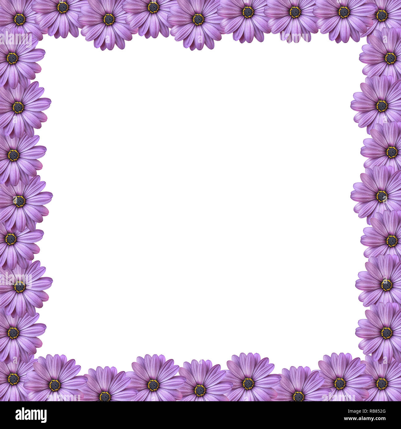 Flower border design hi-res stock photography and images - Page 5