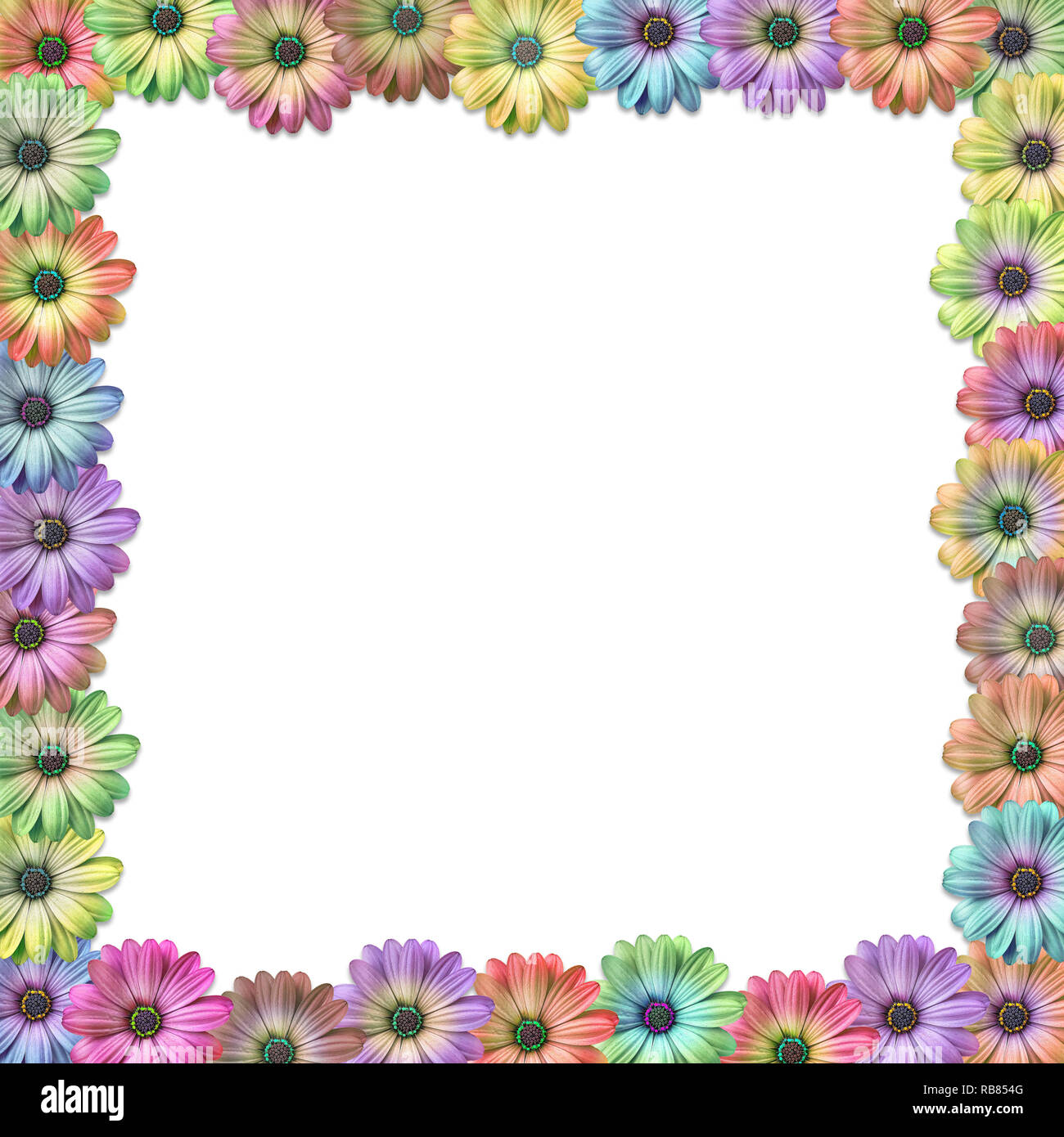 Background with multi colored daisy like flower border background frame Stock Photo