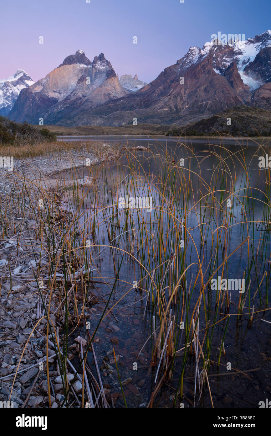The mountains of Torres del Paine reflect in a pond before sunrise. Chile Stock Photo
