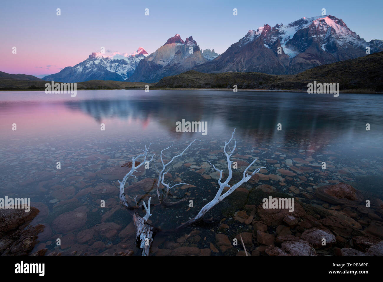The mountains of Torres del Paine reflect in a pond before sunrise. Chile Stock Photo