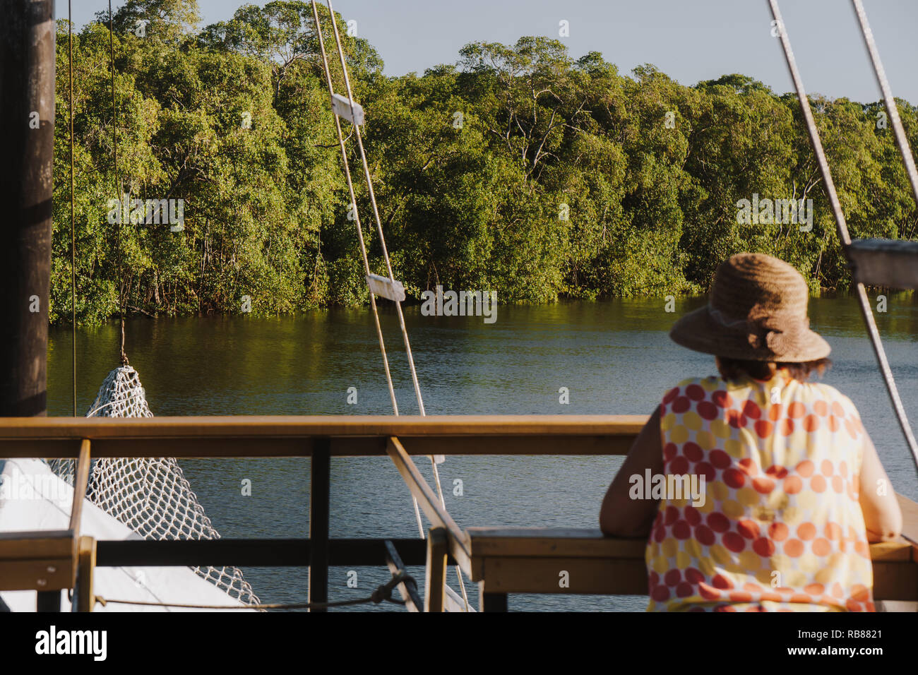 backside view of female tourist on a cruise ship looking towards the mangrove forest Stock Photo