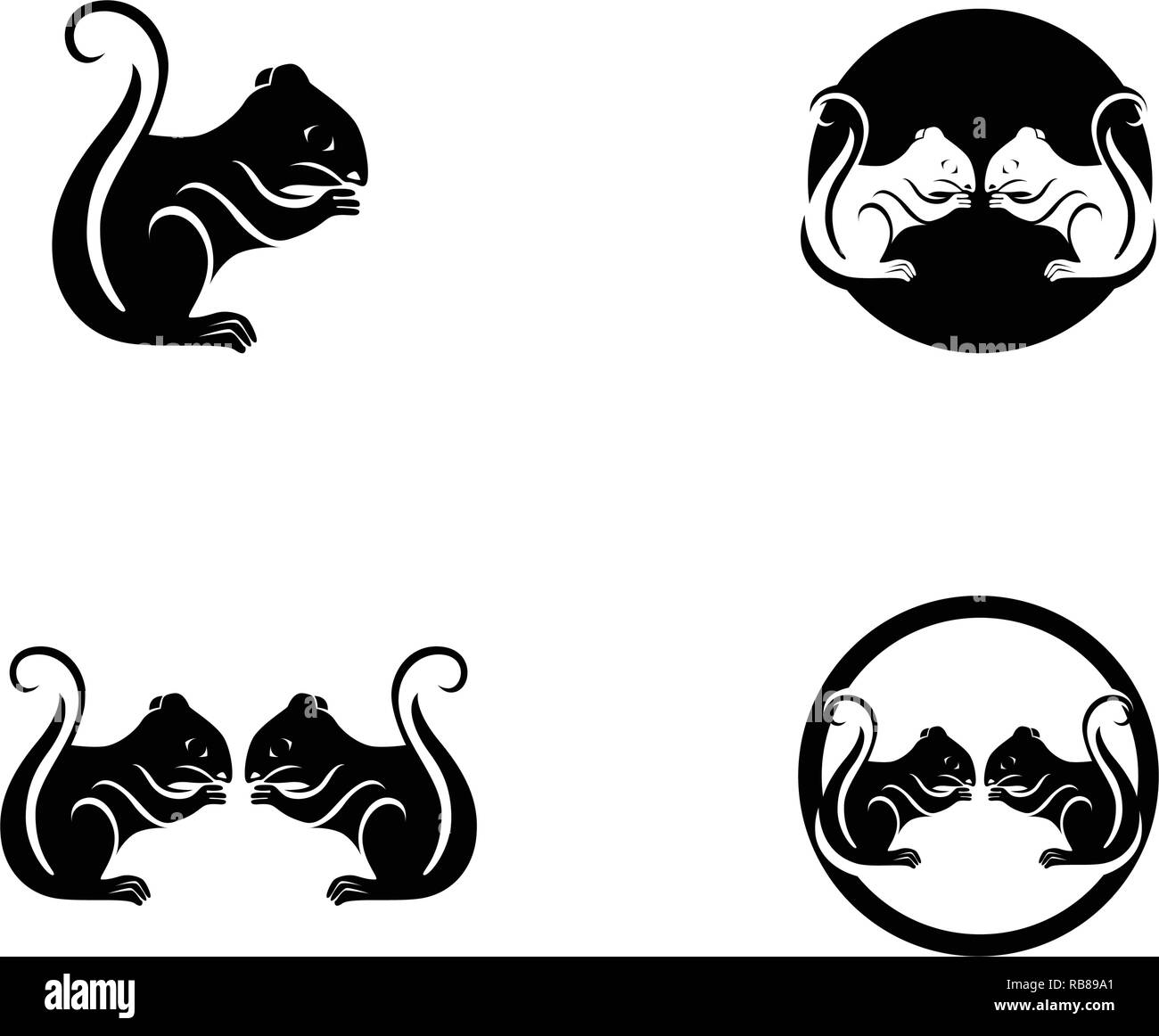 Squirrel logo template vector Stock Vector