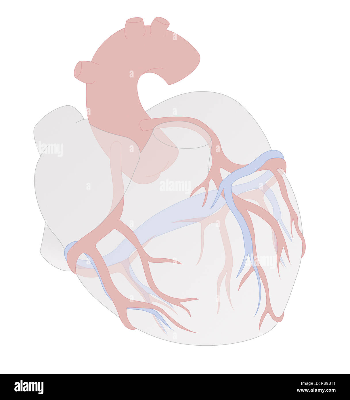 HEART, ILLUSTRATION Stock Photo