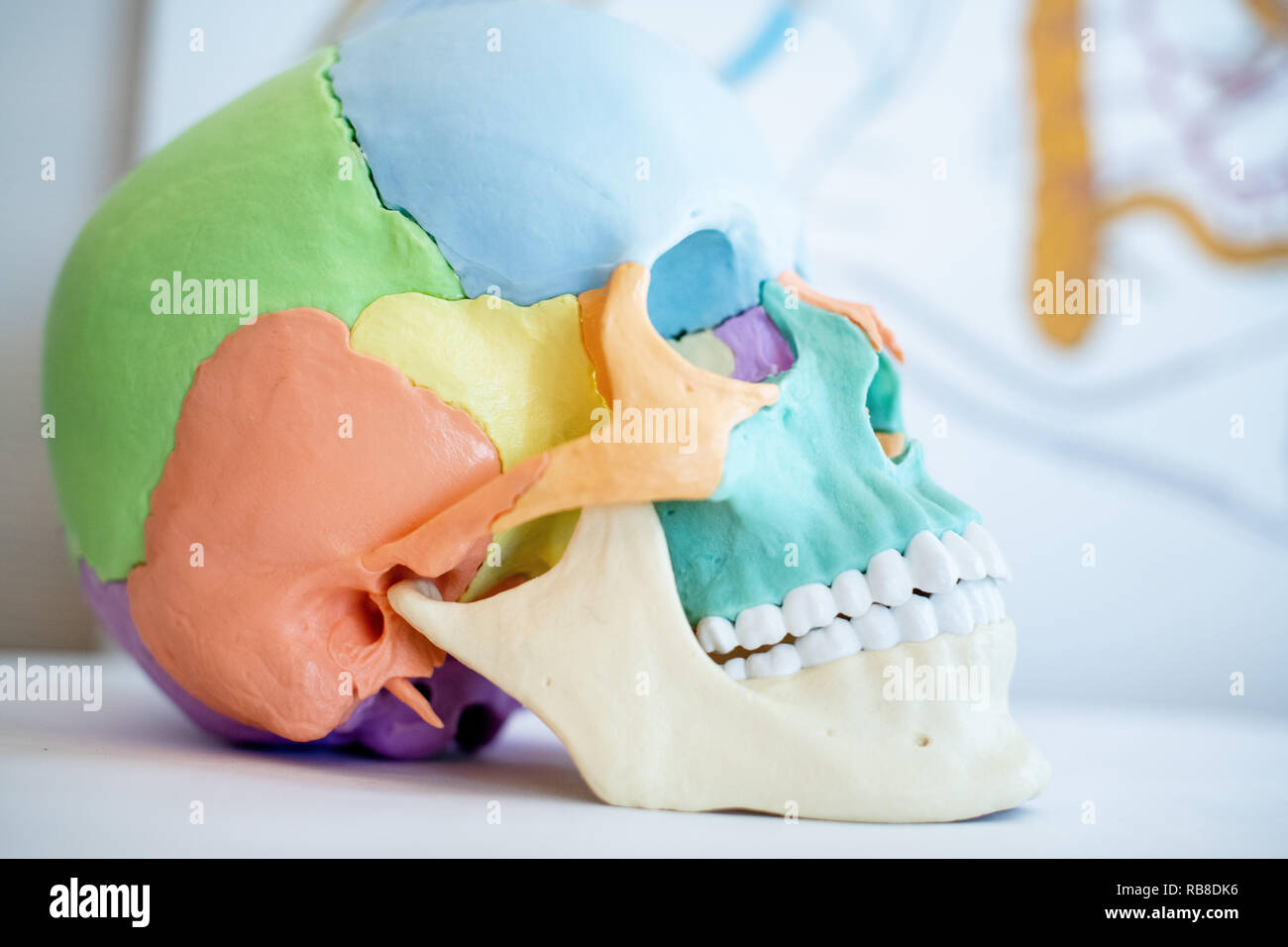 Osteopath Stock Photo