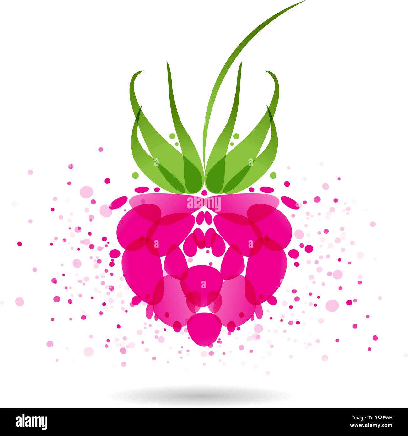 Raspberries splash vector isolated on white background Stock Vector