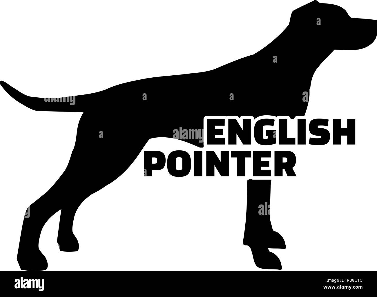 English Pointer silhouette real with word Stock Photo