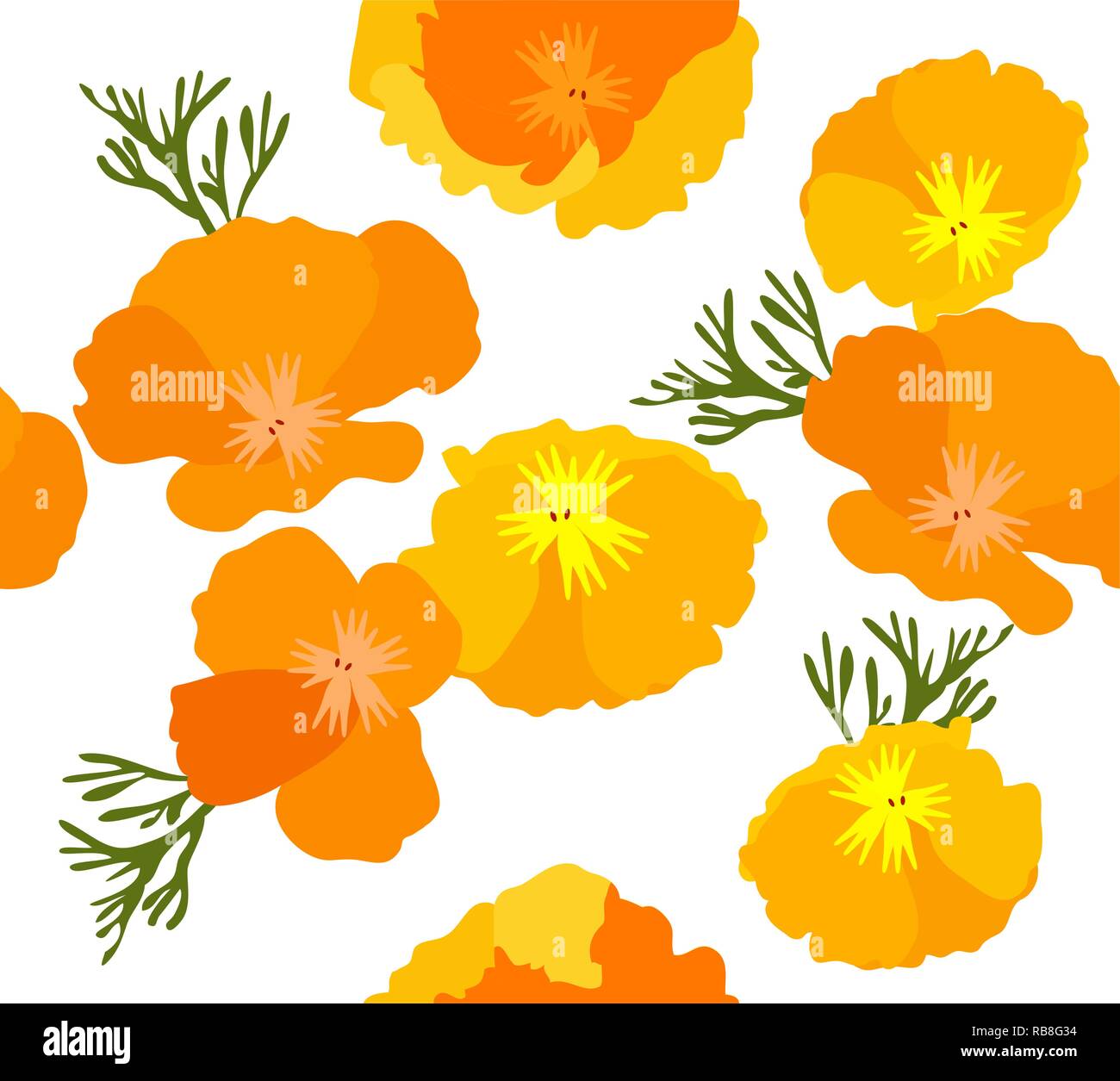 vector illustration of California state yellow and orange poppies. Stock Vector