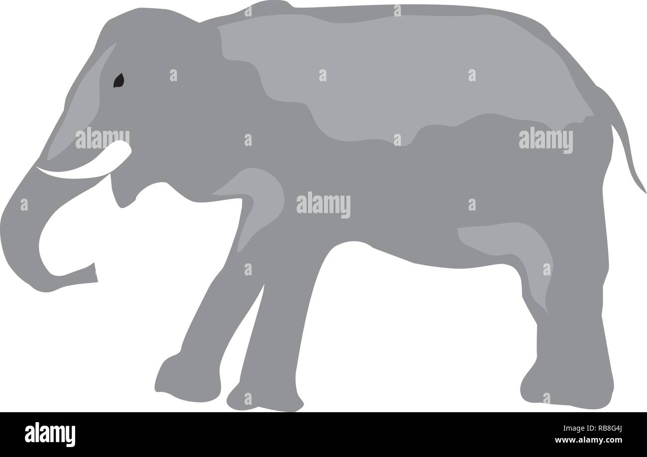 vector illustration of an elephant isolated on white background Stock ...
