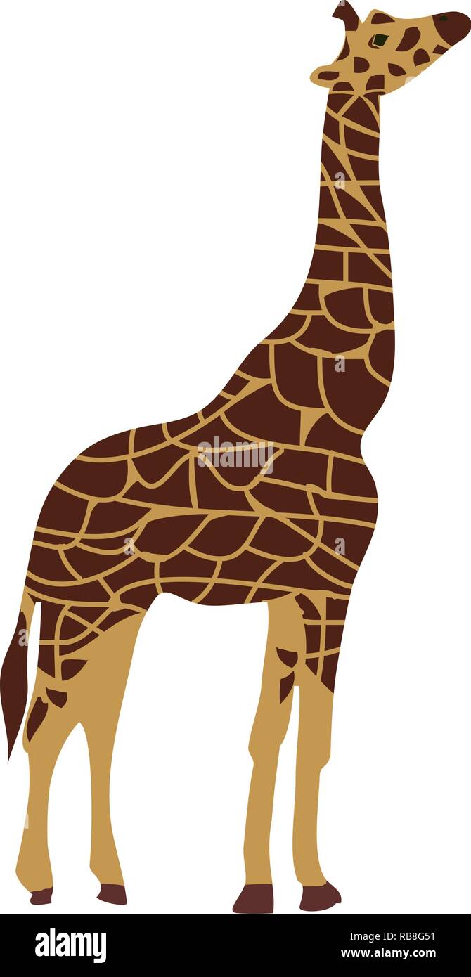 vector illustration of a giraffe isolated on white background Stock ...