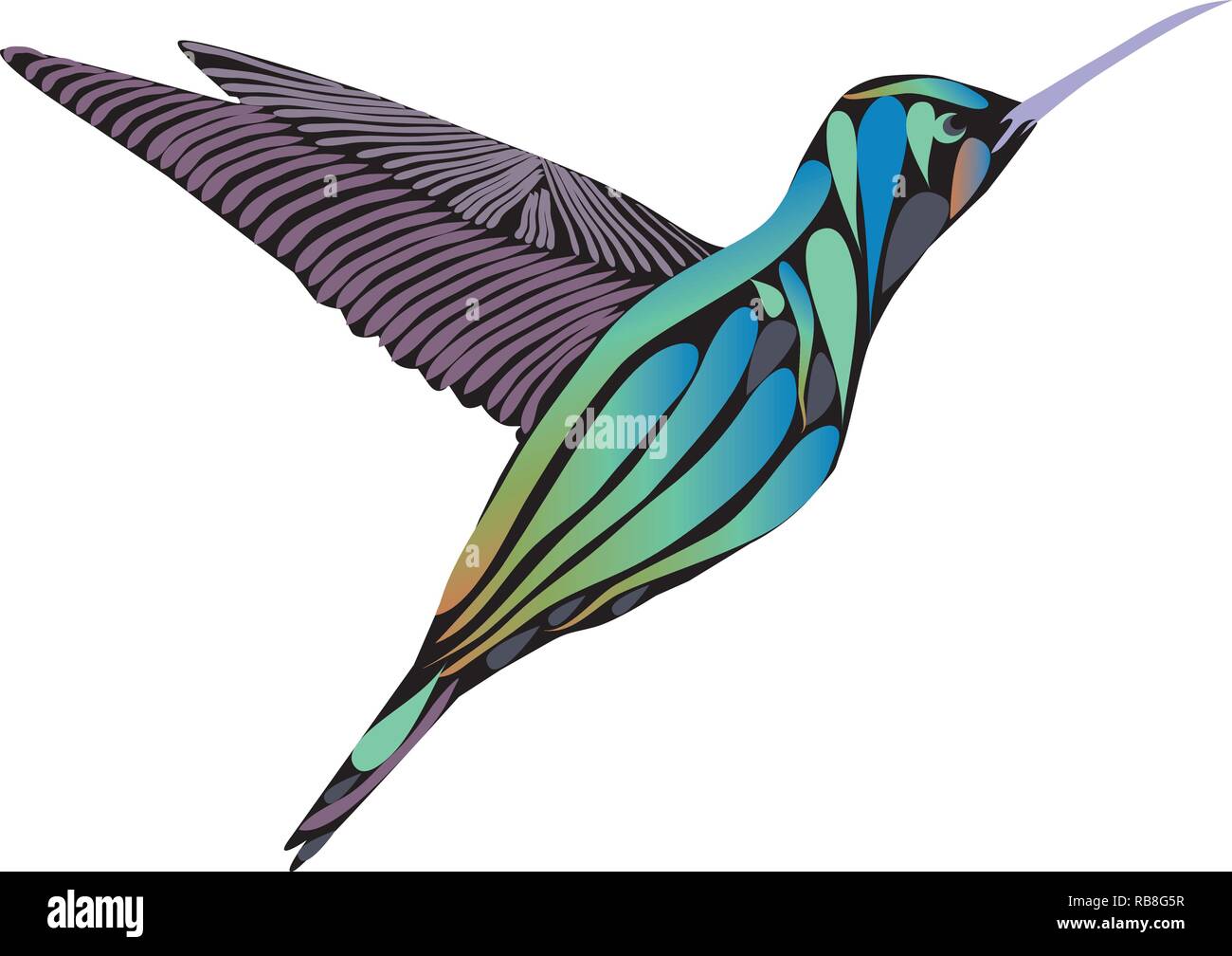 vector illustration of a hummingbird isolated on white background. Stock Vector