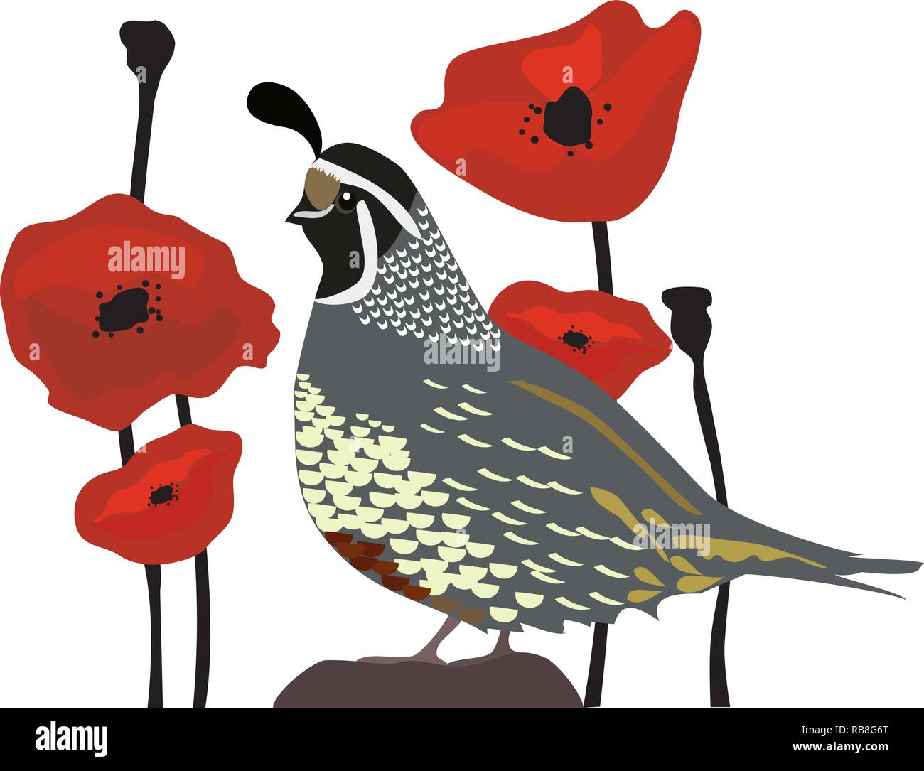 vector illustration of a quail and red poppies seamless background. Stock Vector