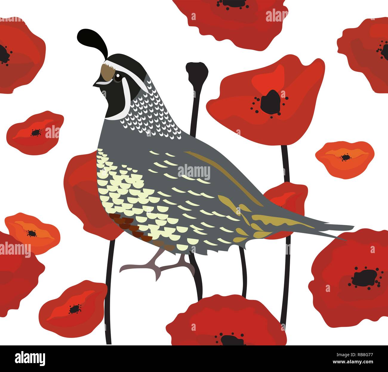 vector illustration of a quail and red poppies seamless background. Stock Vector