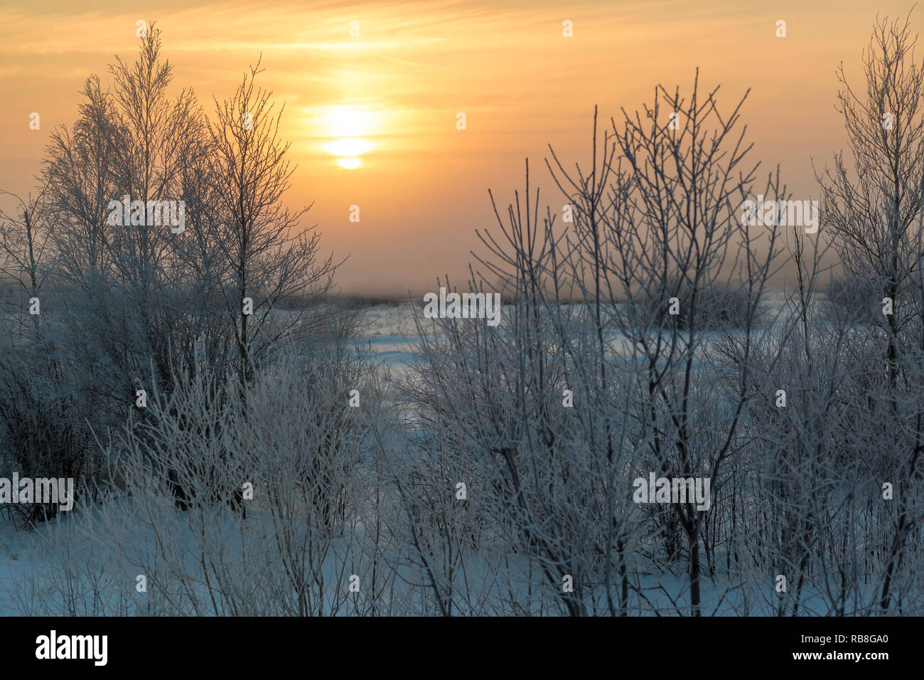January sunset over low forests on Christmas Eve Stock Photo