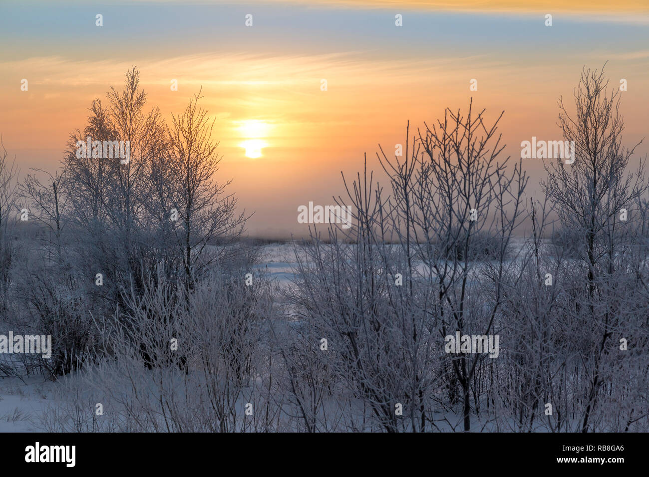 January sunset over low forests on Christmas Eve Stock Photo