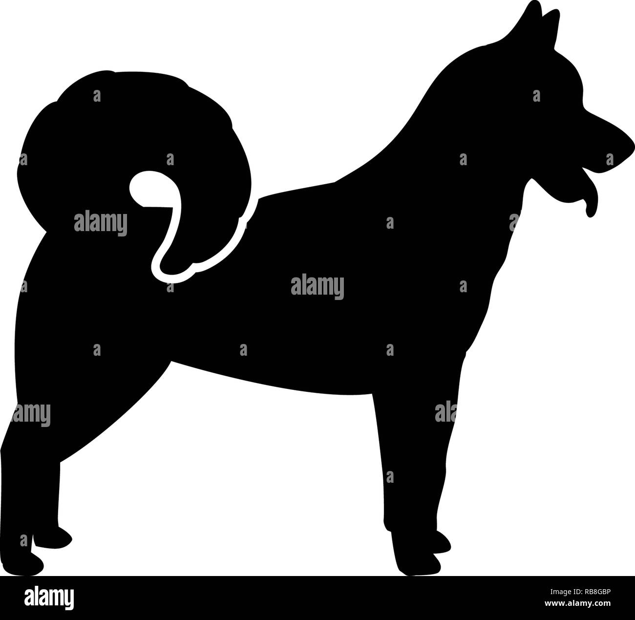Greenland Dog silhouette real in black Stock Photo