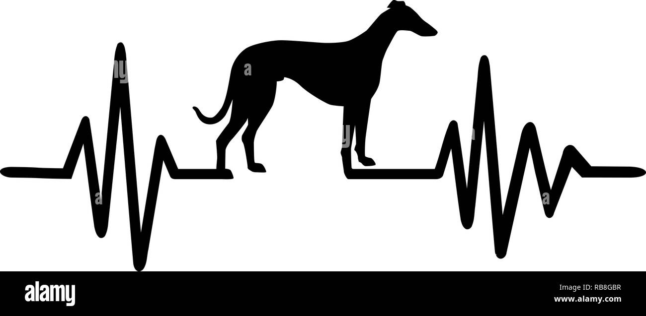 heartbeat pulse line dog with greyhound silhouette black stock photo alamy https www alamy com heartbeat pulse line dog with greyhound silhouette black image230684491 html