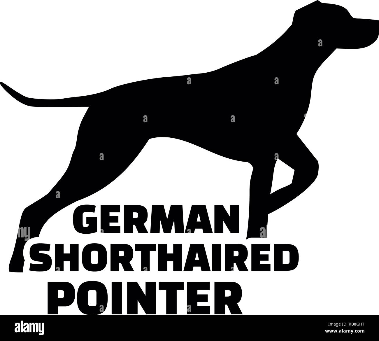 German Shorthaired Pointer Silhouette With Word Stock Photo