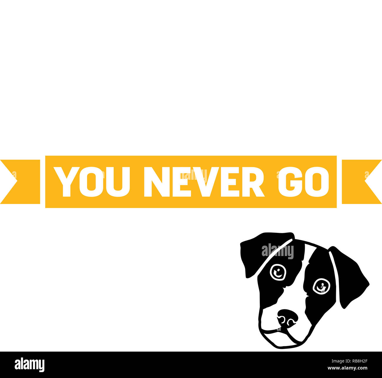 Jack Russell Terrier you never go back Stock Photo
