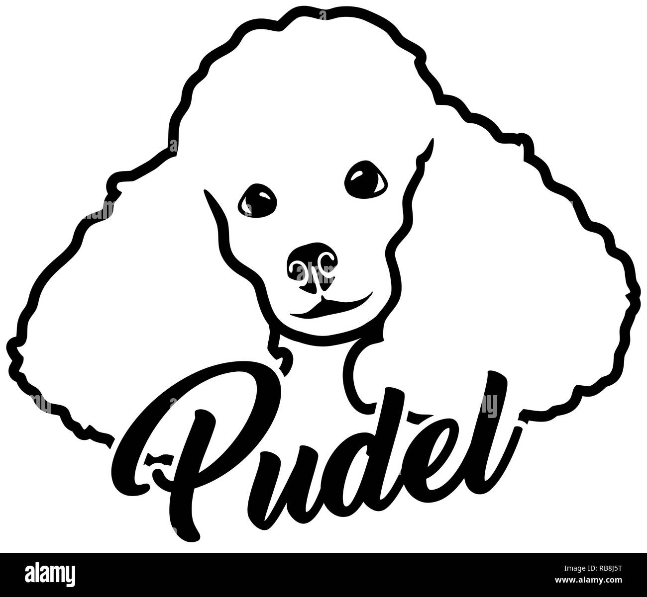 poodle-face-with-german-word-stock-photo-alamy