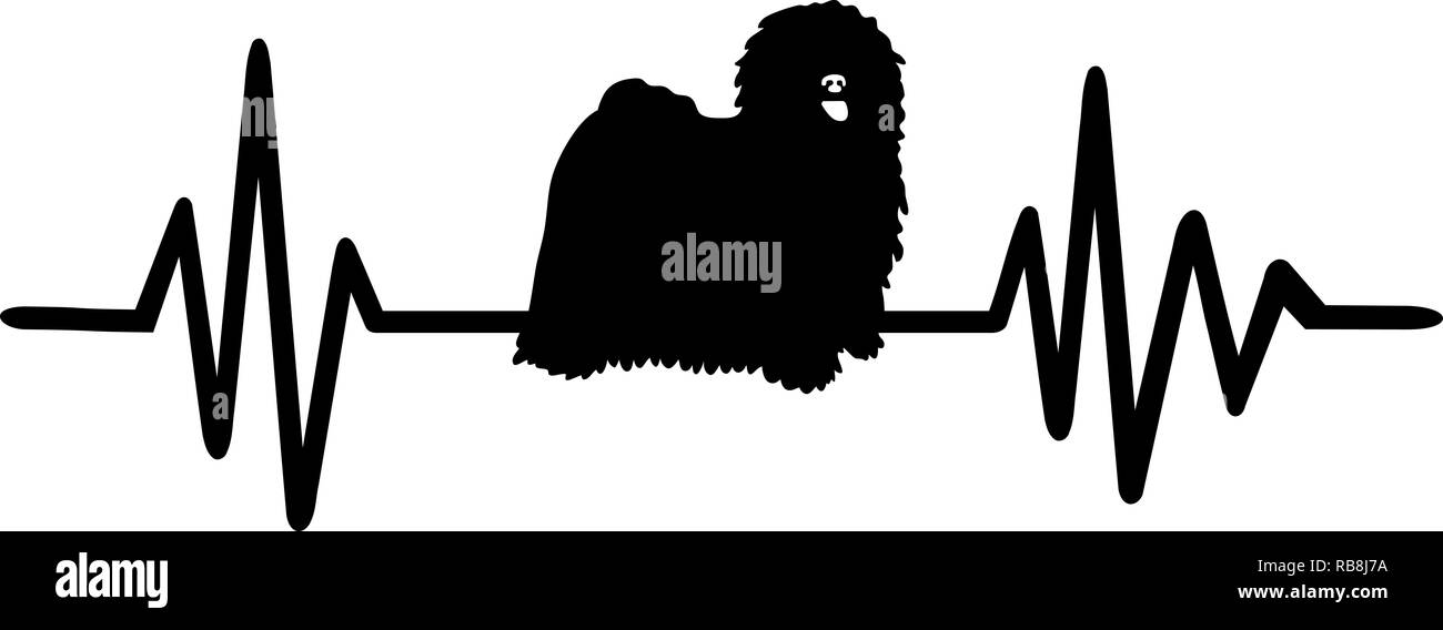 Heartbeat pulse line with puli dog silhouette Stock Photo