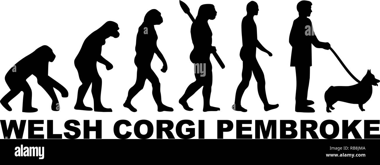 Welsh Corgi Pembroke evolution with word in black Stock Photo