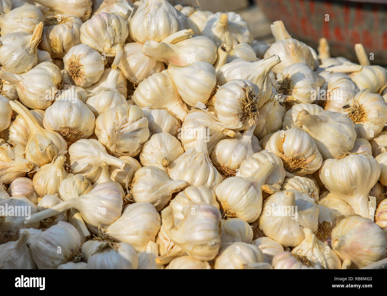 Garlic for sale at rural market in Old Delhi, India Stock Photo - Alamy