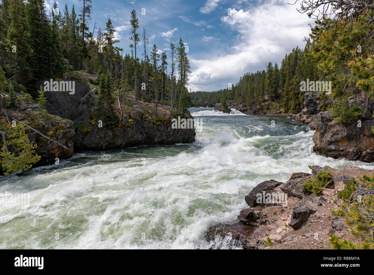 The Yellowstone river plunging down into the grand canyon of yellowstone. Stock Photo