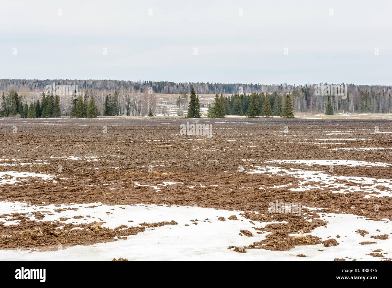 The melting of the snow on the fields in early spring Stock Photo