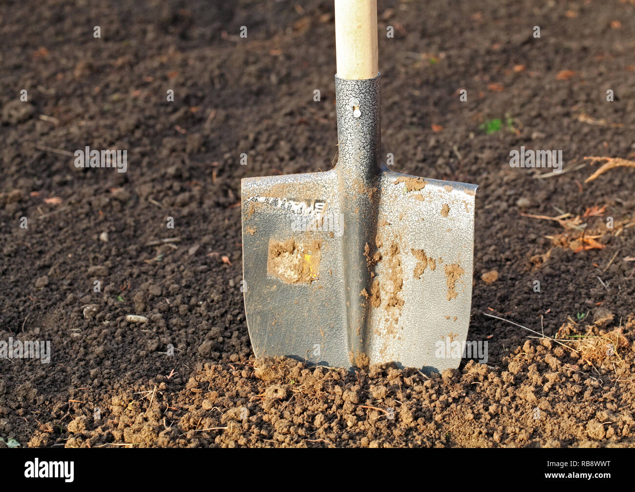 Shovel in field Stock Photo