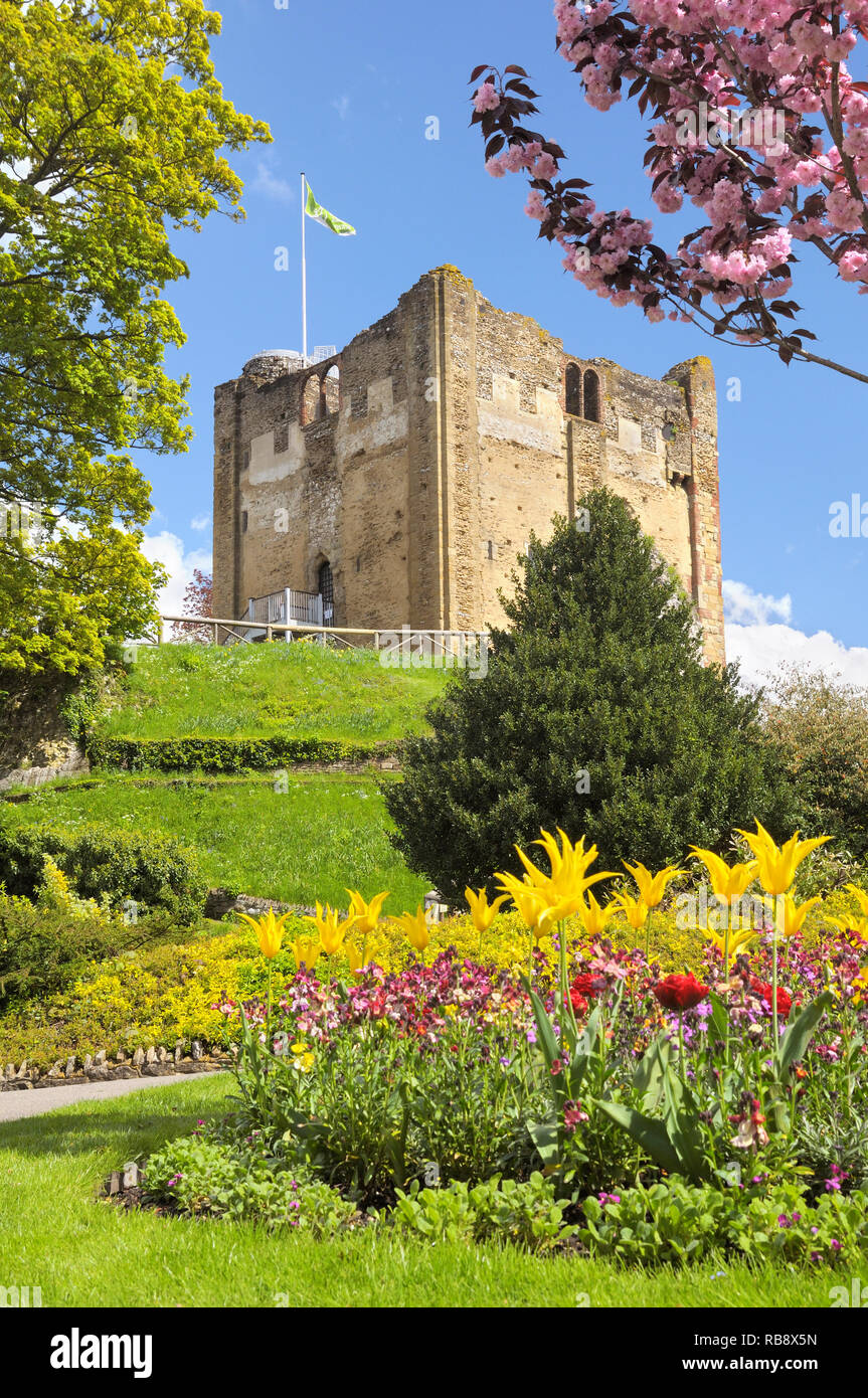Guildford Castle and gardens in spring, Castle Grounds, Guildford, Surrey, England, UK Stock Photo