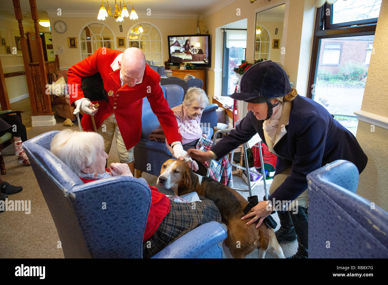 The annual Boxing Day Hunt meet of Atherstone Hunt held in Market Bosworth. The Hunt visit Orchard House Residential Home before parading. Stock Photo