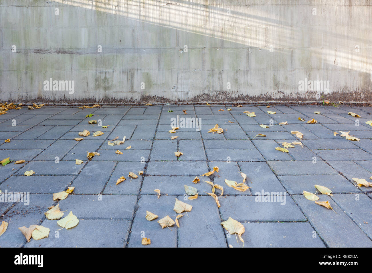Autumn leaves in street background Stock Photo - Alamy