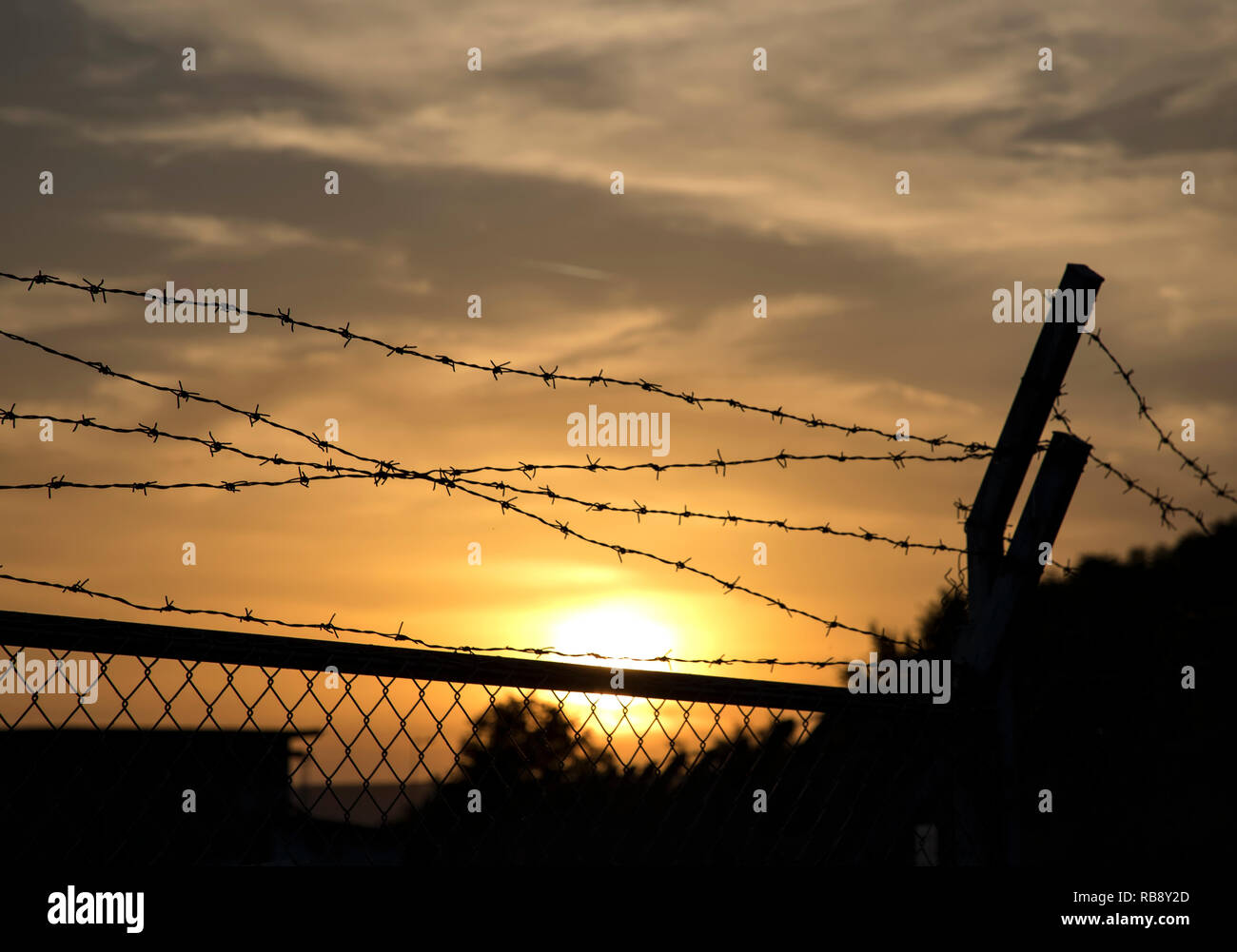 Silhouette of barbed wire fence at sunset Stock Photo - Alamy
