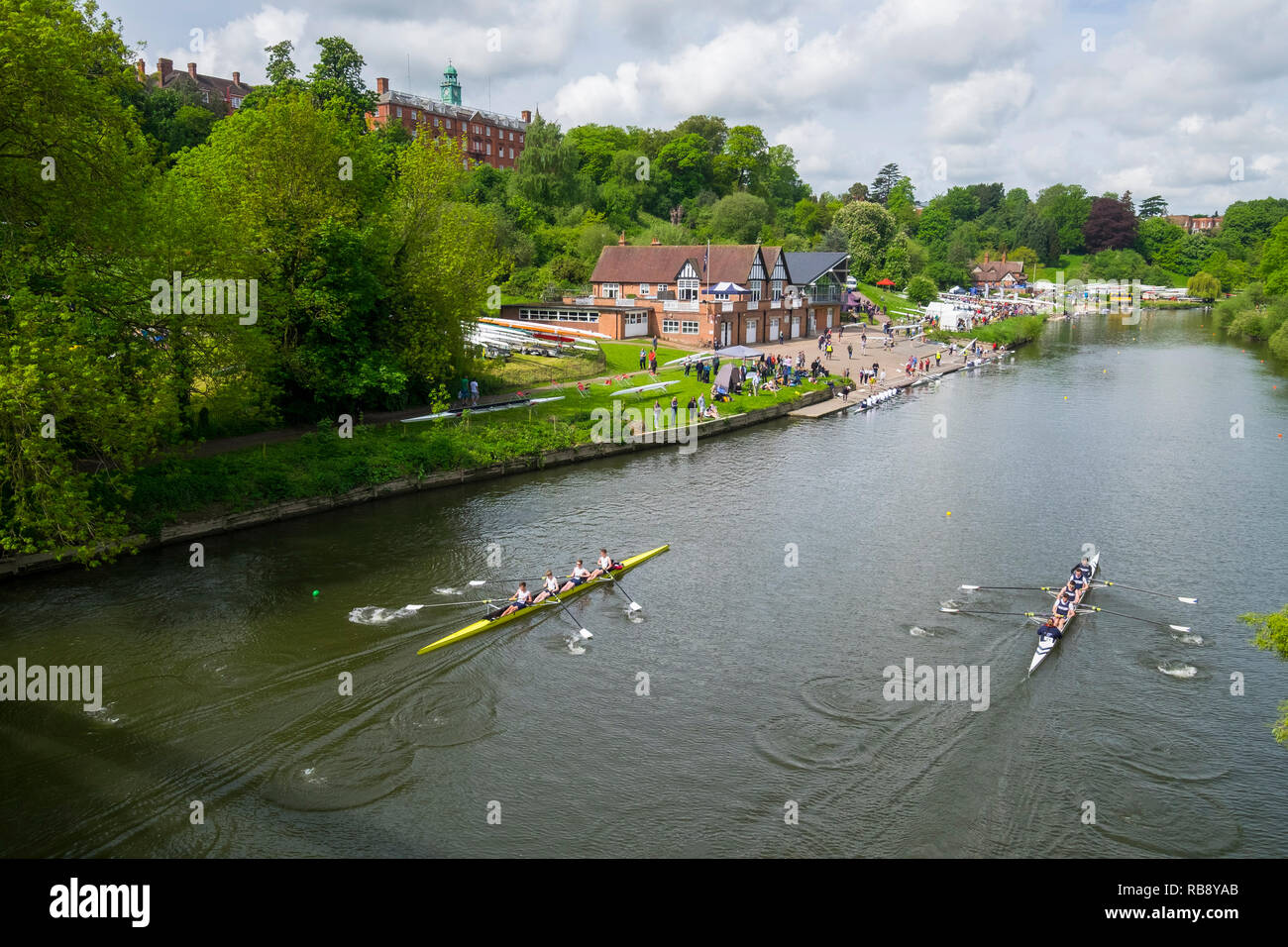 Rowing regatta hires stock photography and images Alamy