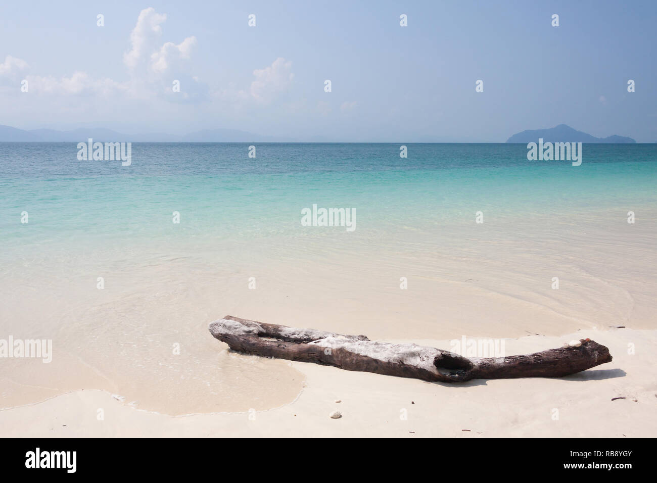 Wood on the beach. Stock Photo