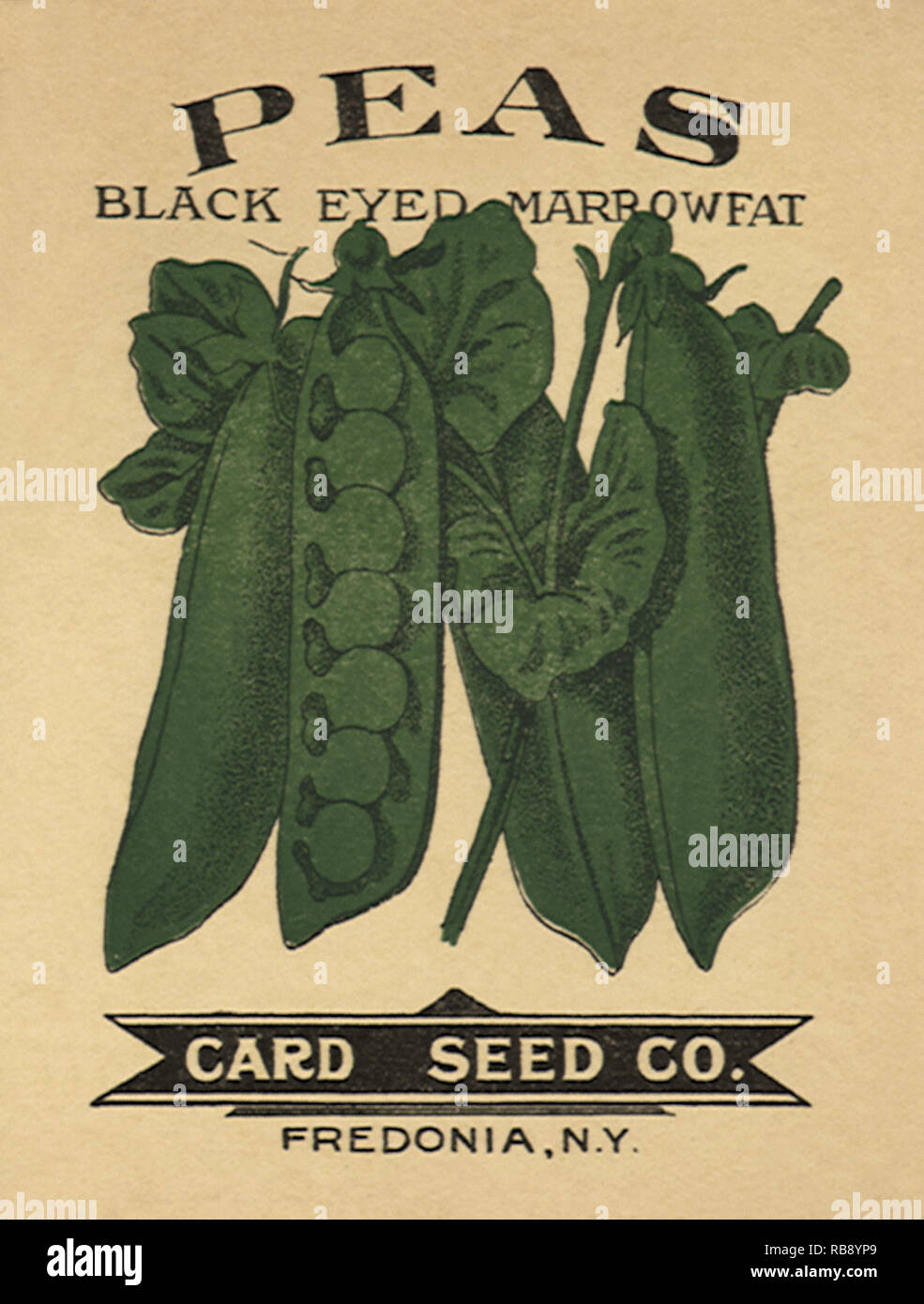 Peas Seed Packet Stock Photo