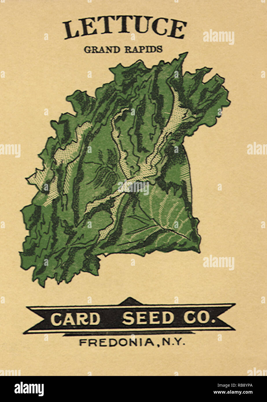 Lettuce Seed Packet Stock Photo Alamy
