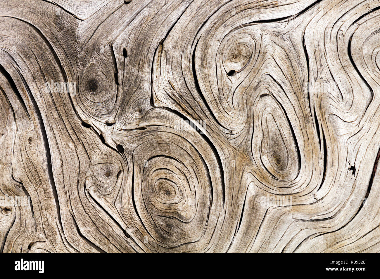 Old weathered wood background texture with swirl pattern Stock Photo