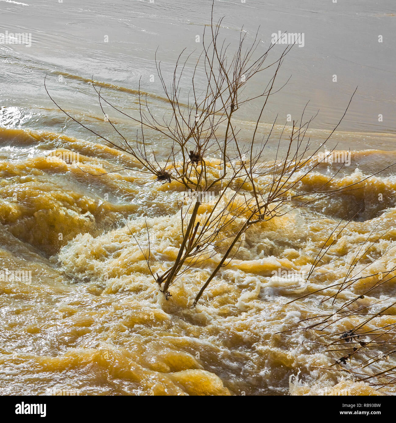 Turbid waters hi-res stock photography and images - Alamy