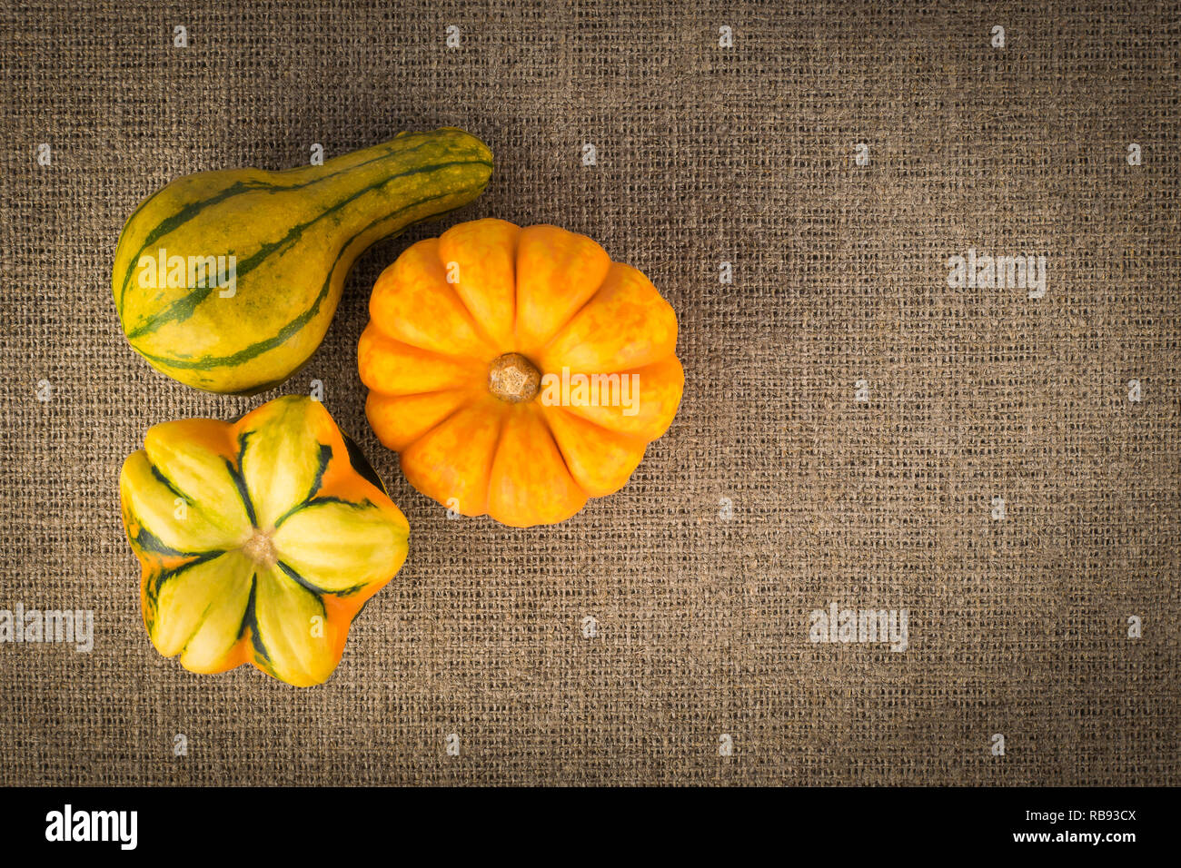 Three decorative pumpkins on linen background, autumn concept Stock Photo